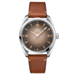 Seamaster Railmaster 38mm