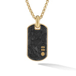 Forged Carbon Tag in 18K Yellow Gold, 42mm