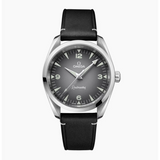 Seamaster Railmaster Steel Grey Dial Leather Strap 38mm