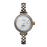 Birdy Watch 34MM
