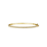 Petite Penny Bangle Bracelet