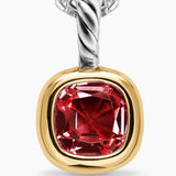 Amulet with red garnet gemstone and gold and silver accents on a white background on silver chain