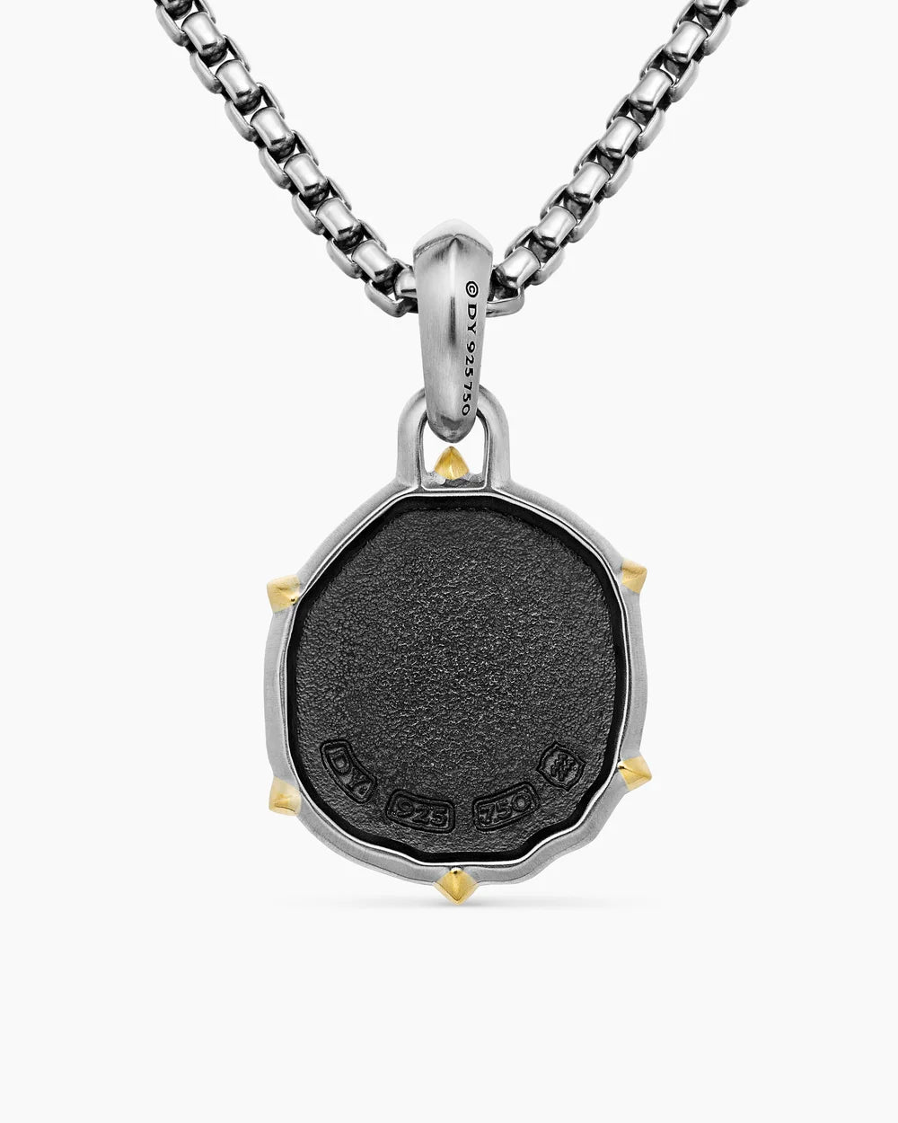 Aquarius Amulet Sterling Silver with 18K Yellow Gold, 23mm