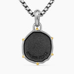 Aquarius Amulet Sterling Silver with 18K Yellow Gold, 23mm