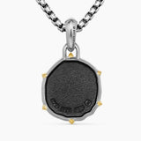 Aquarius Amulet Sterling Silver with 18K Yellow Gold, 23mm
