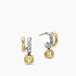Pair of gold and silver earrings on a white background