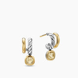 Pair of gold and silver earrings on a white background