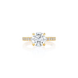 Classic Pave Band with Hidden Halo Engagement Ring Semi Mount