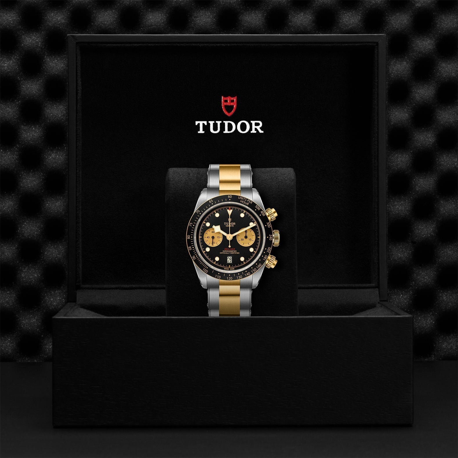 TUDOR Black Bay Chrono SandG