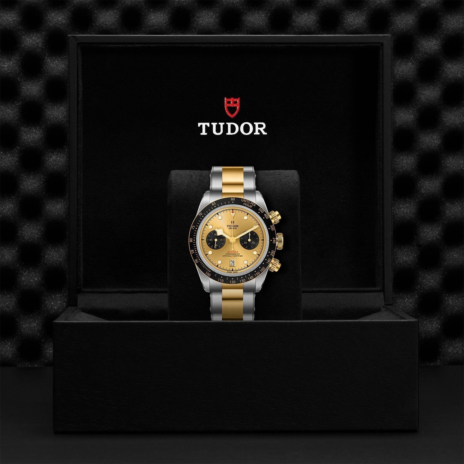 TUDOR Black Bay Chrono SandG