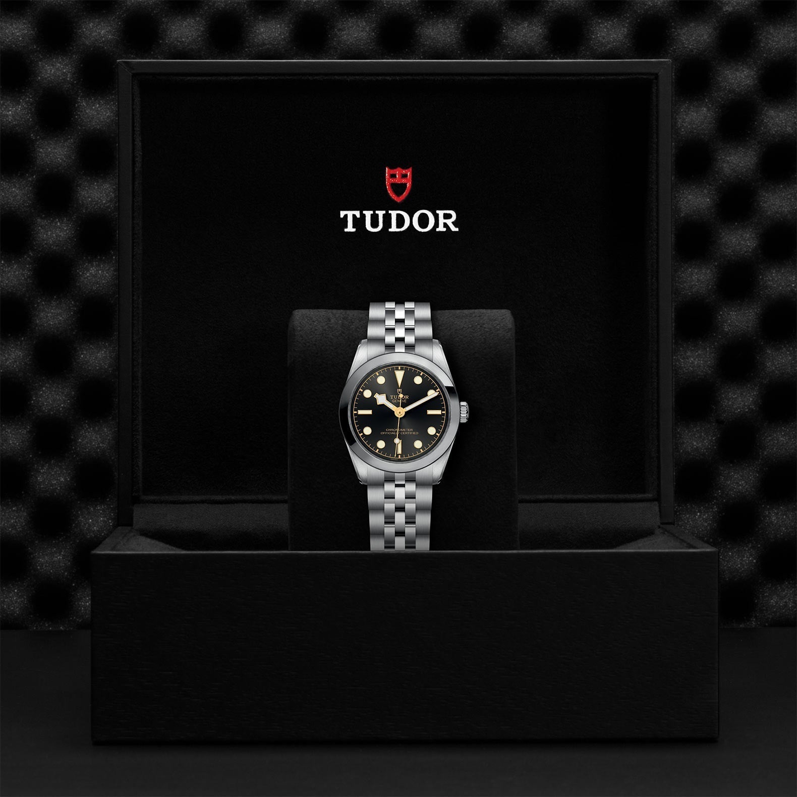 TUDOR Black Bay One 31