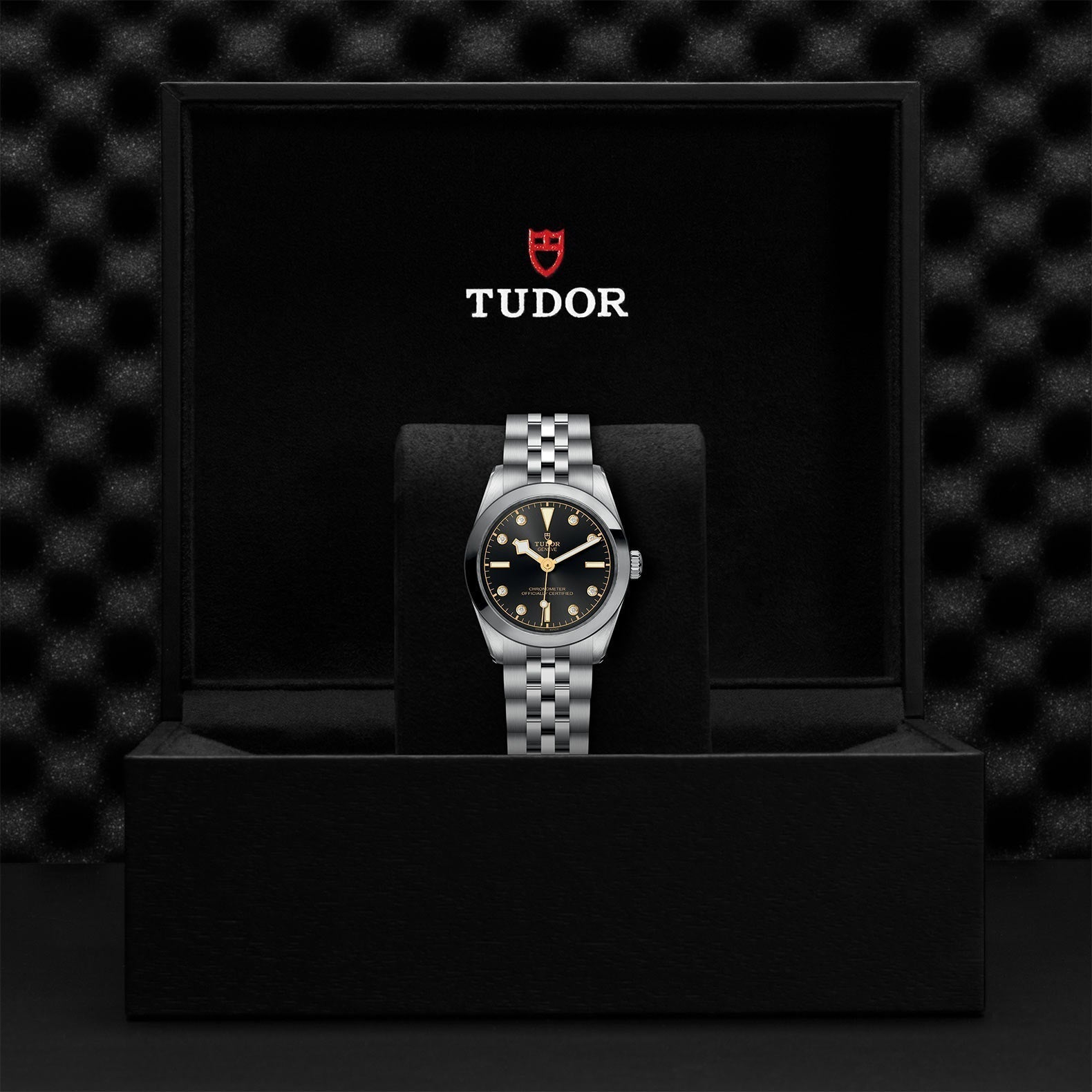 TUDOR Black Bay One 31