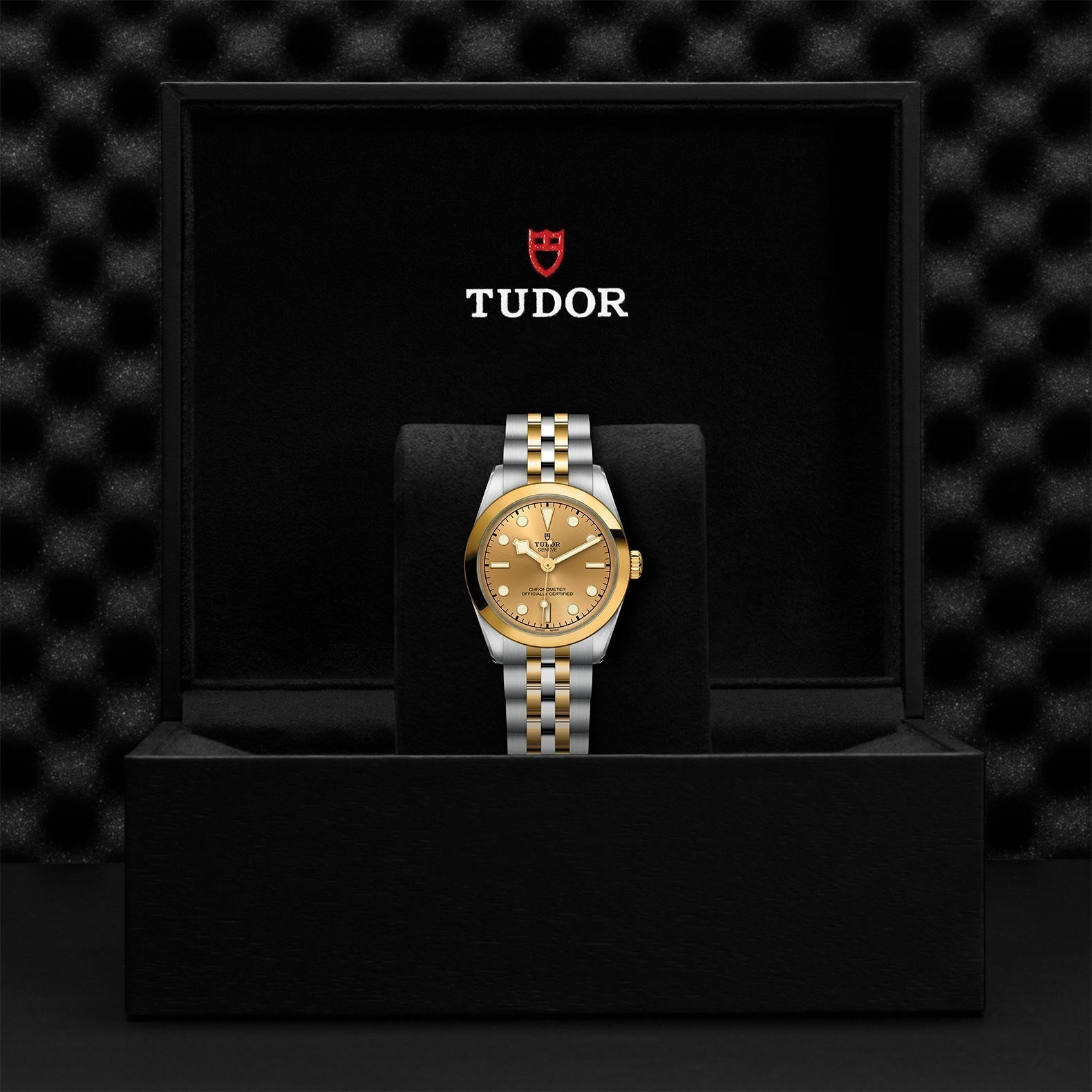 TUDOR Black Bay One 31 SandG