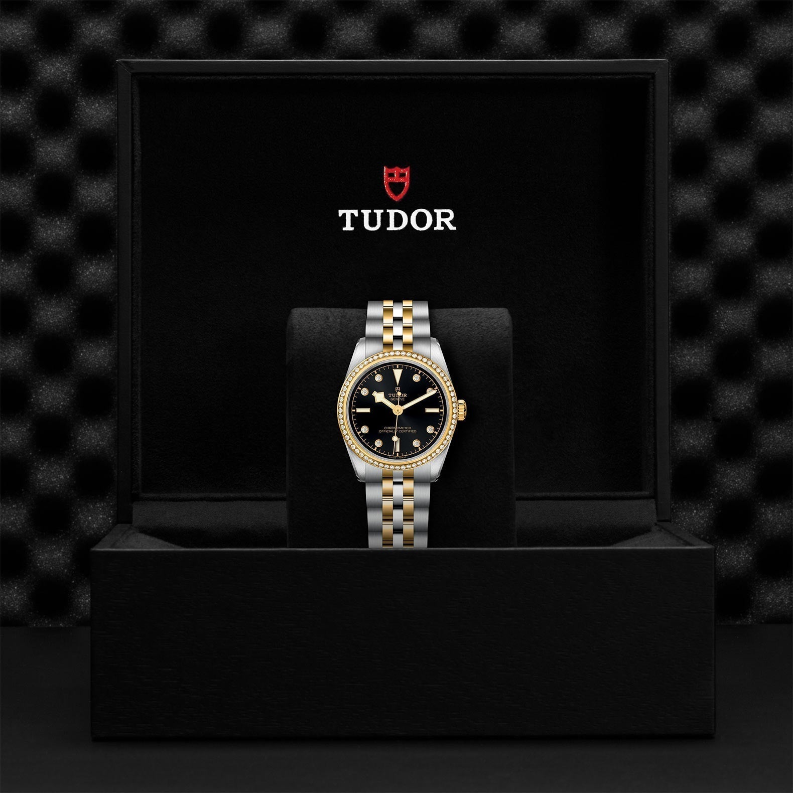 TUDOR Black Bay One 31 SandG