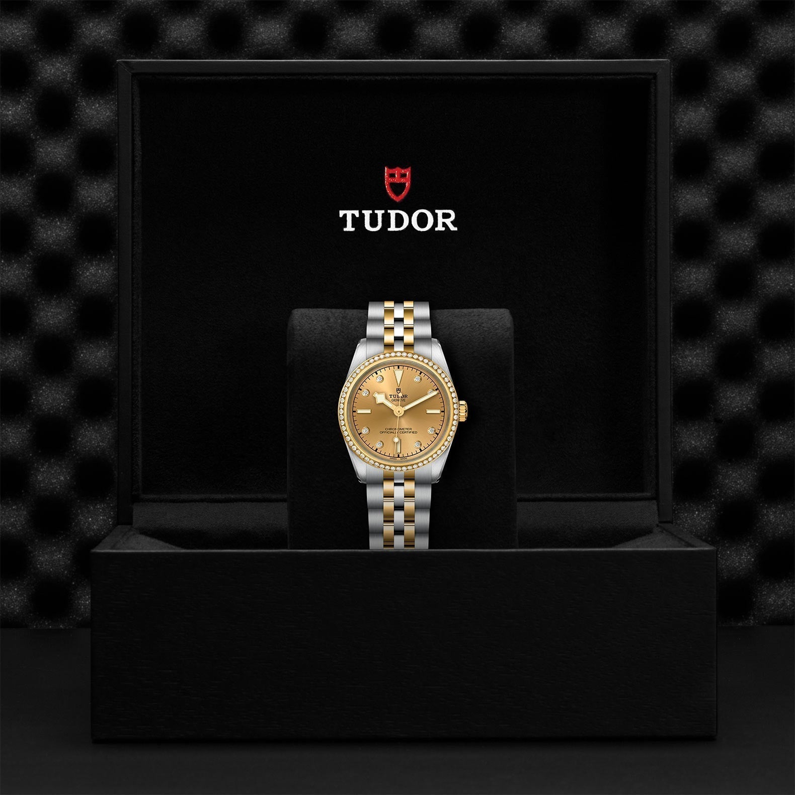 TUDOR Black Bay One 31 SandG