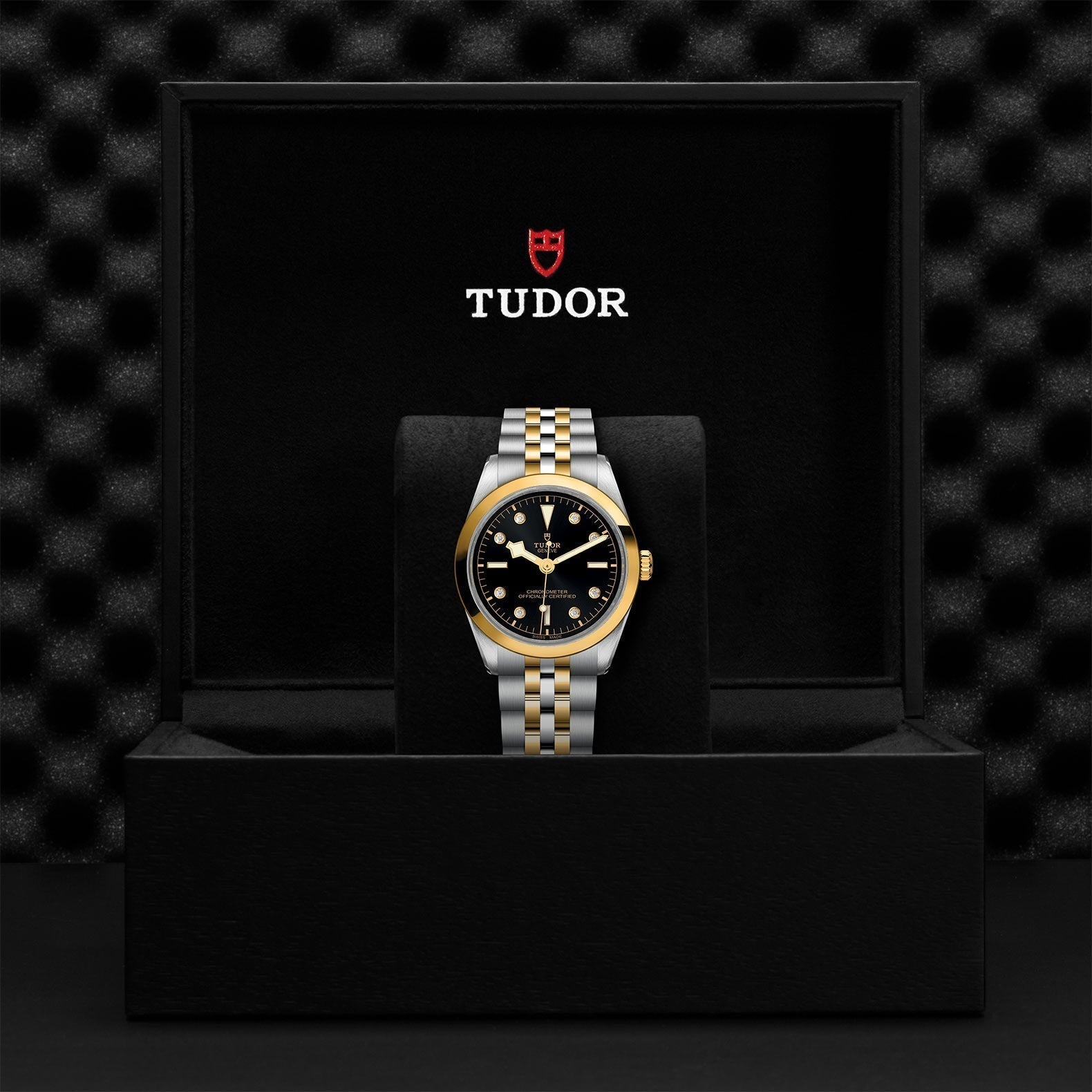 TUDOR Black Bay One 36 SandG