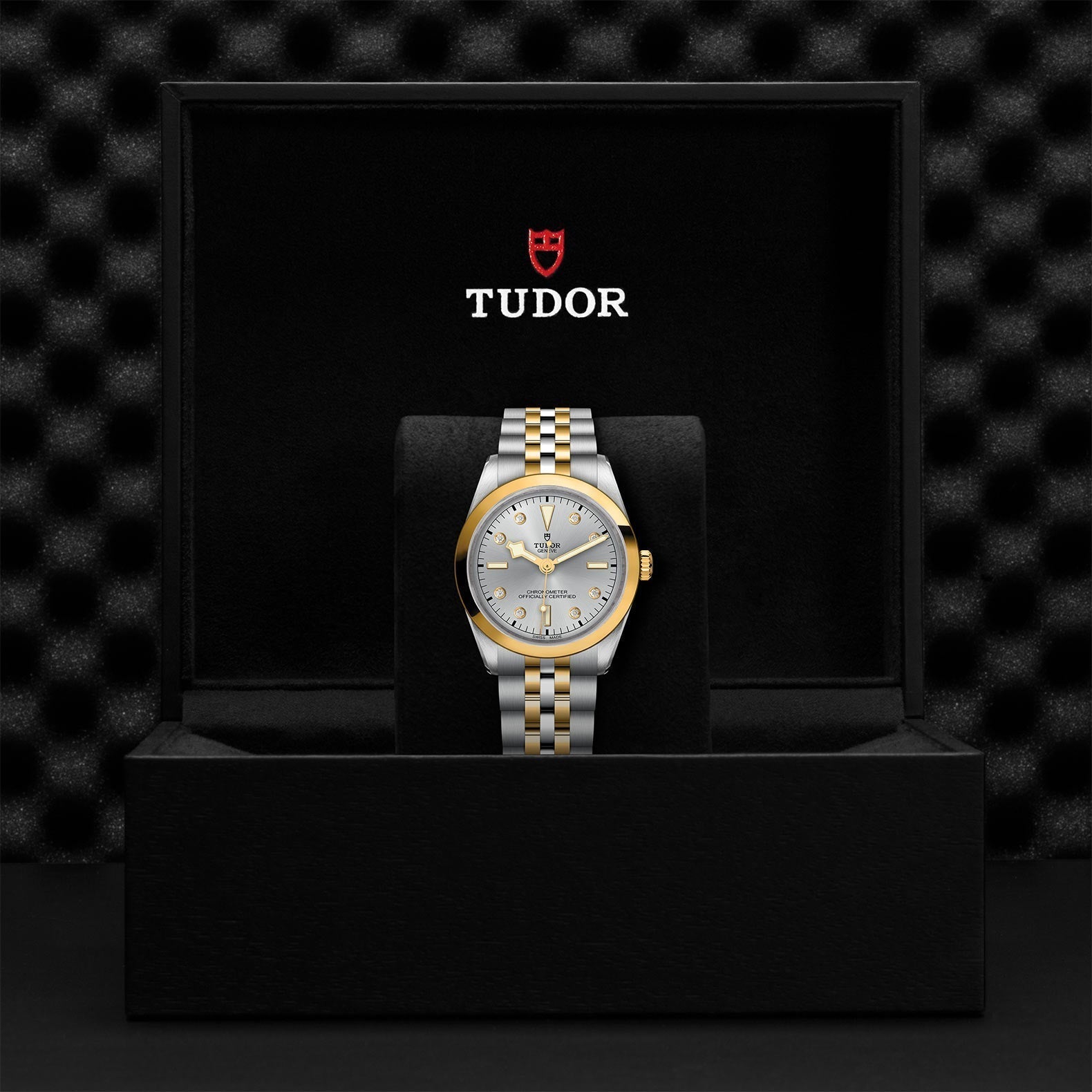 TUDOR Black Bay One 36 SandG