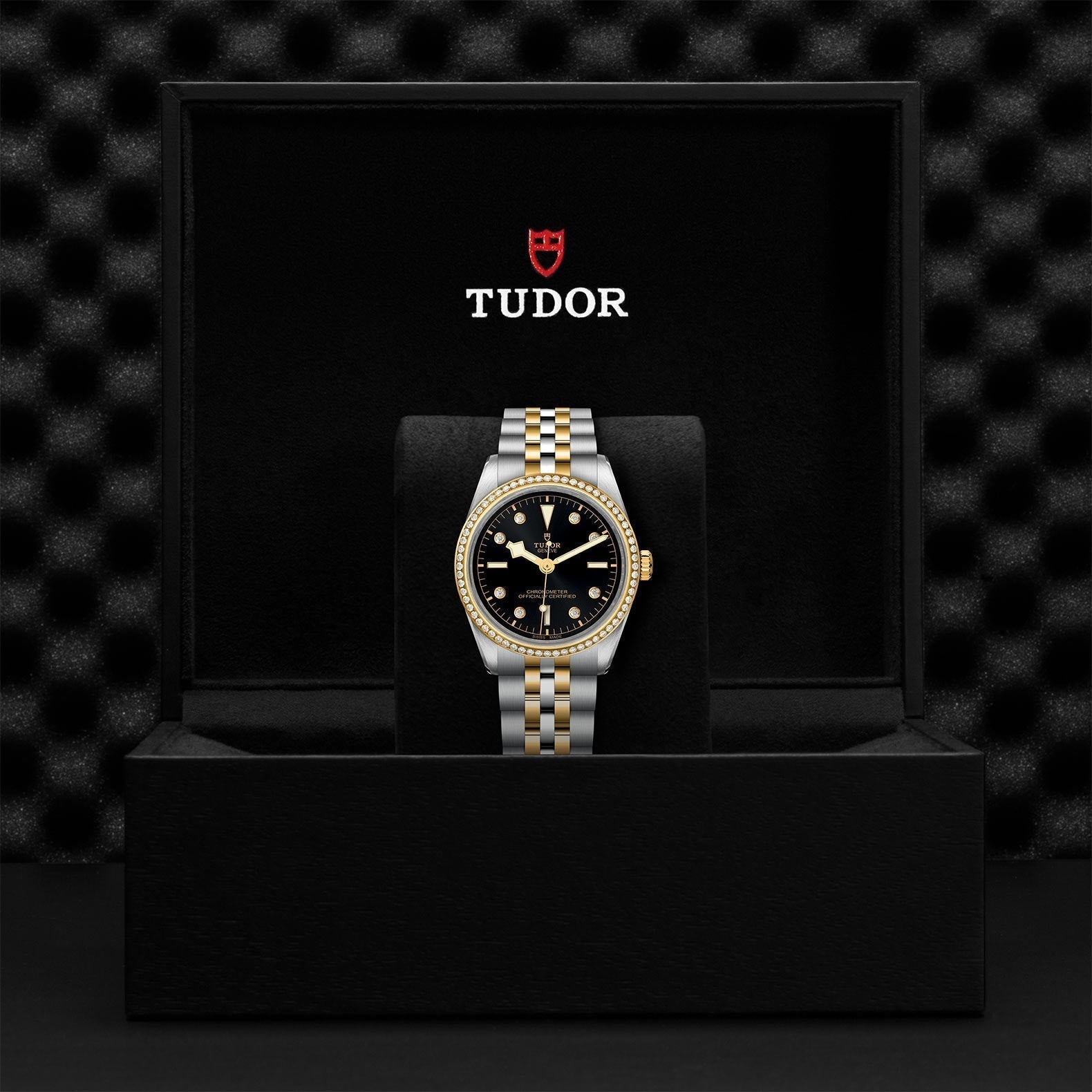TUDOR Black Bay One 36 SandG