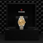 TUDOR Black Bay One 36 S&G