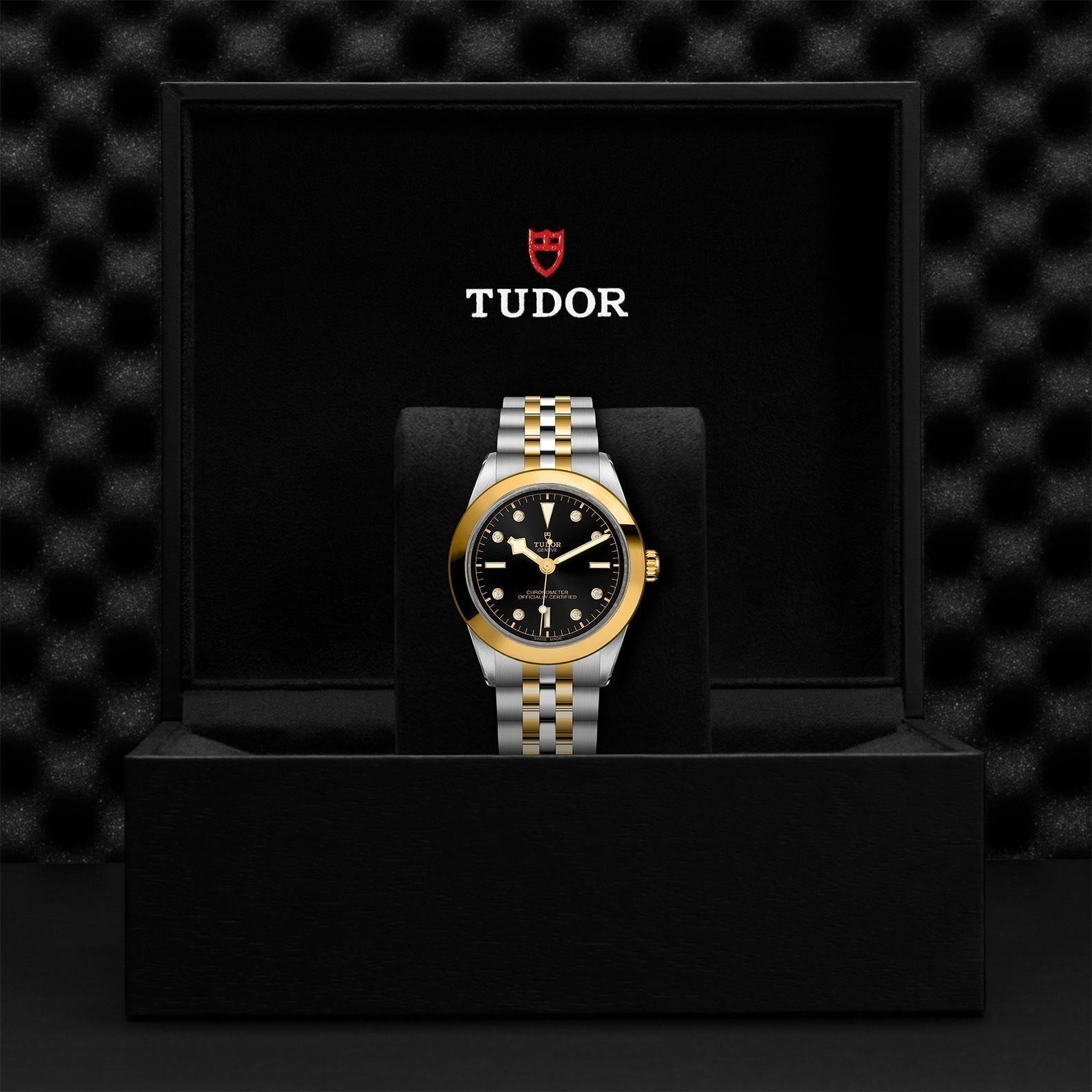 TUDOR Black Bay One 39 SandG