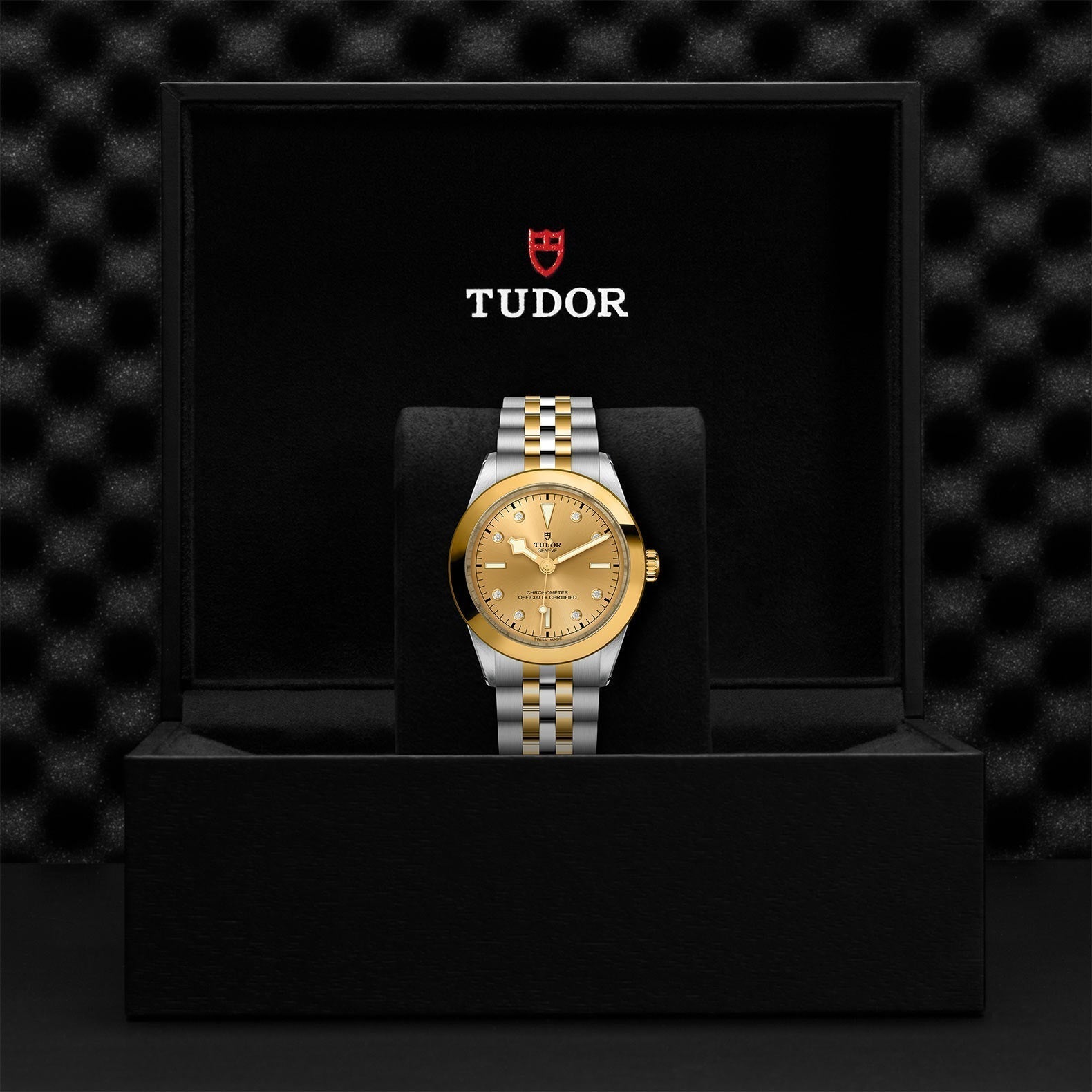 TUDOR Black Bay One 39 SandG
