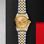 TUDOR Black Bay One 39 S&G
