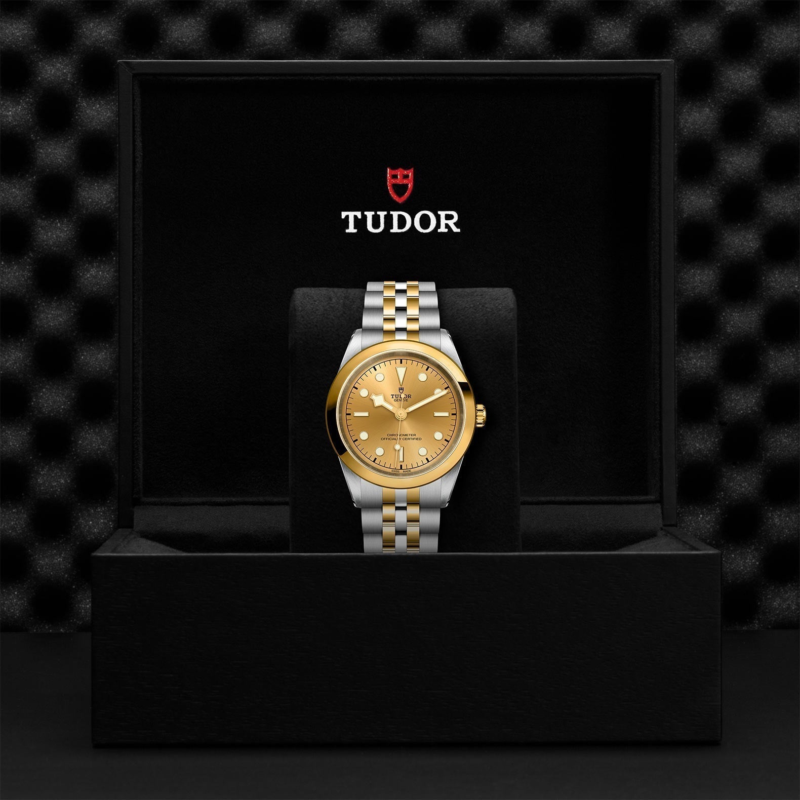 TUDOR Black Bay One 41 SandG