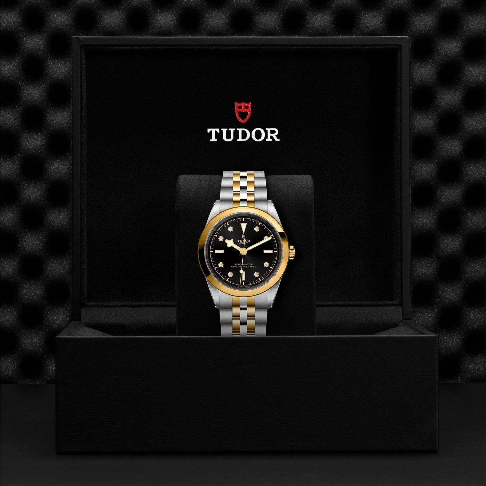 TUDOR Black Bay One 41 SandG