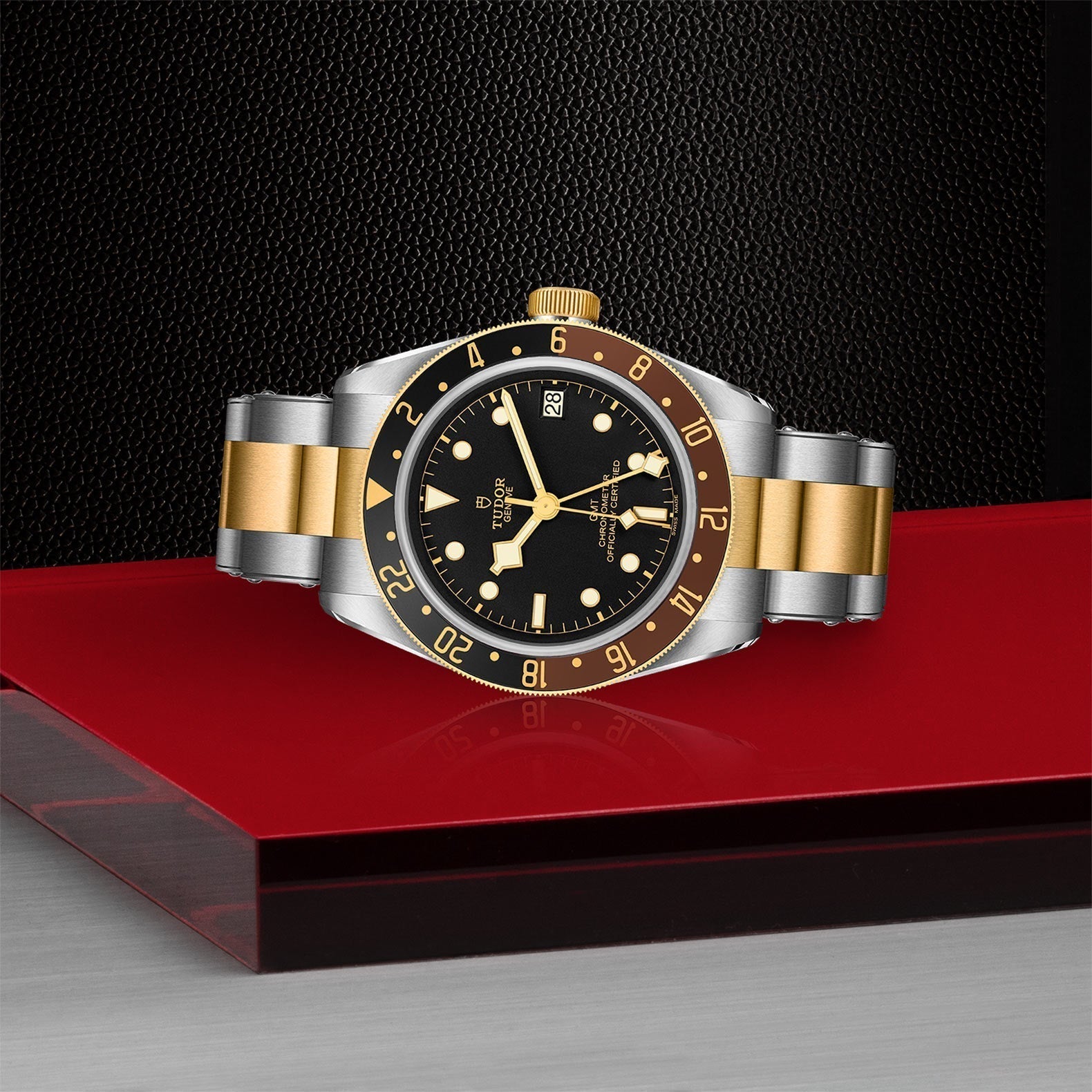 TUDOR Black Bay GMT SandG