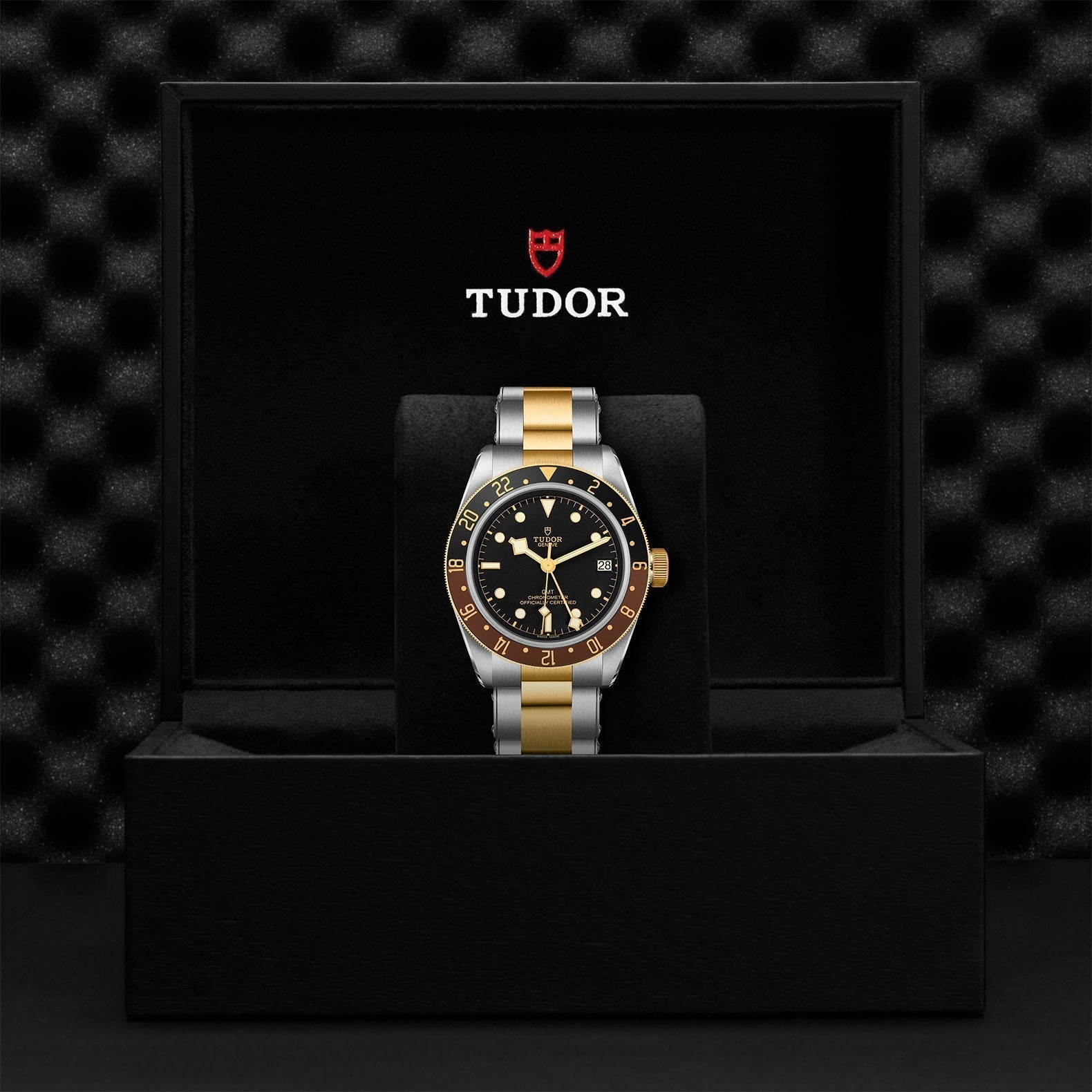 TUDOR Black Bay GMT SandG