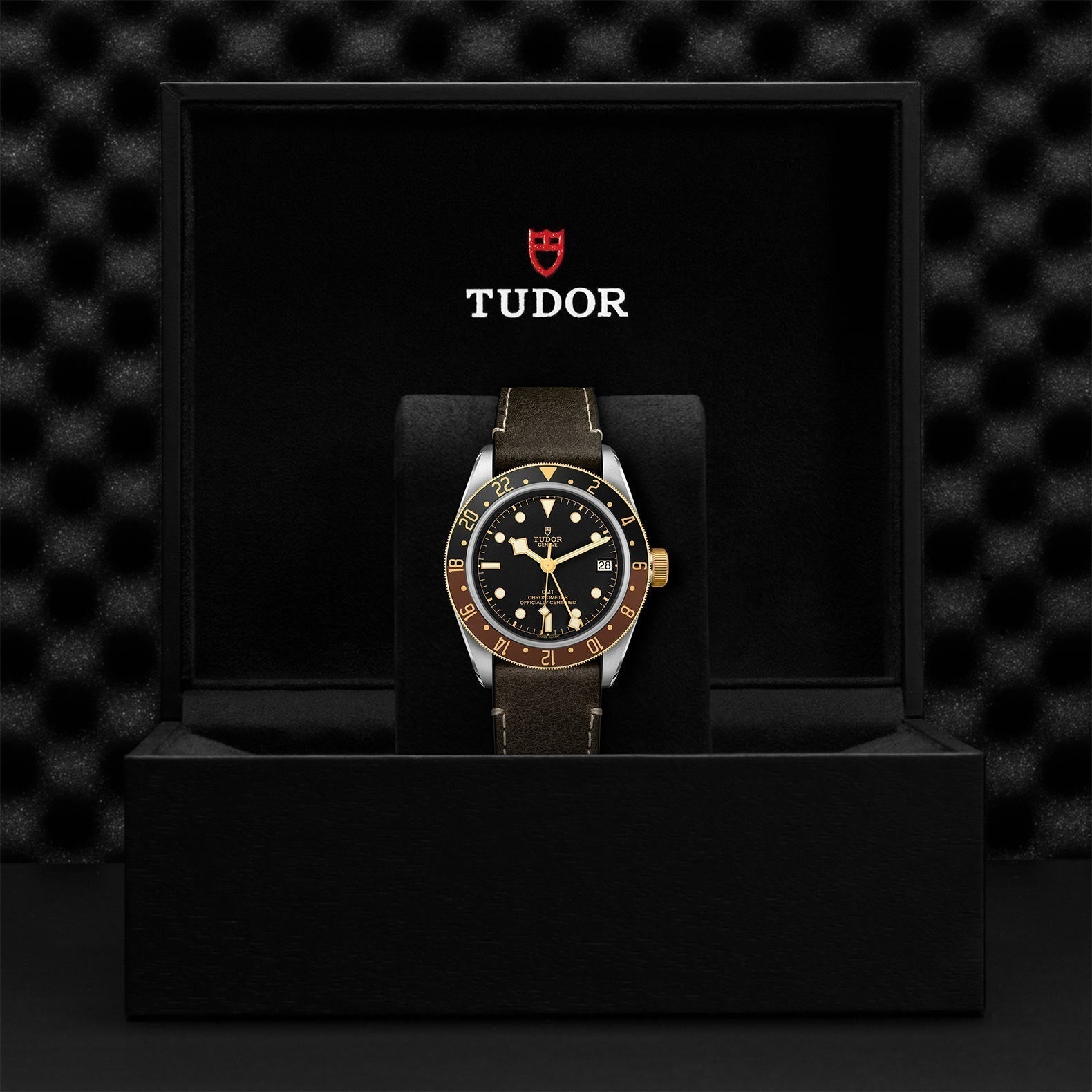 TUDOR Black Bay GMT SandG