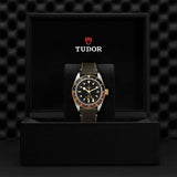 TUDOR Black Bay GMT SandG
