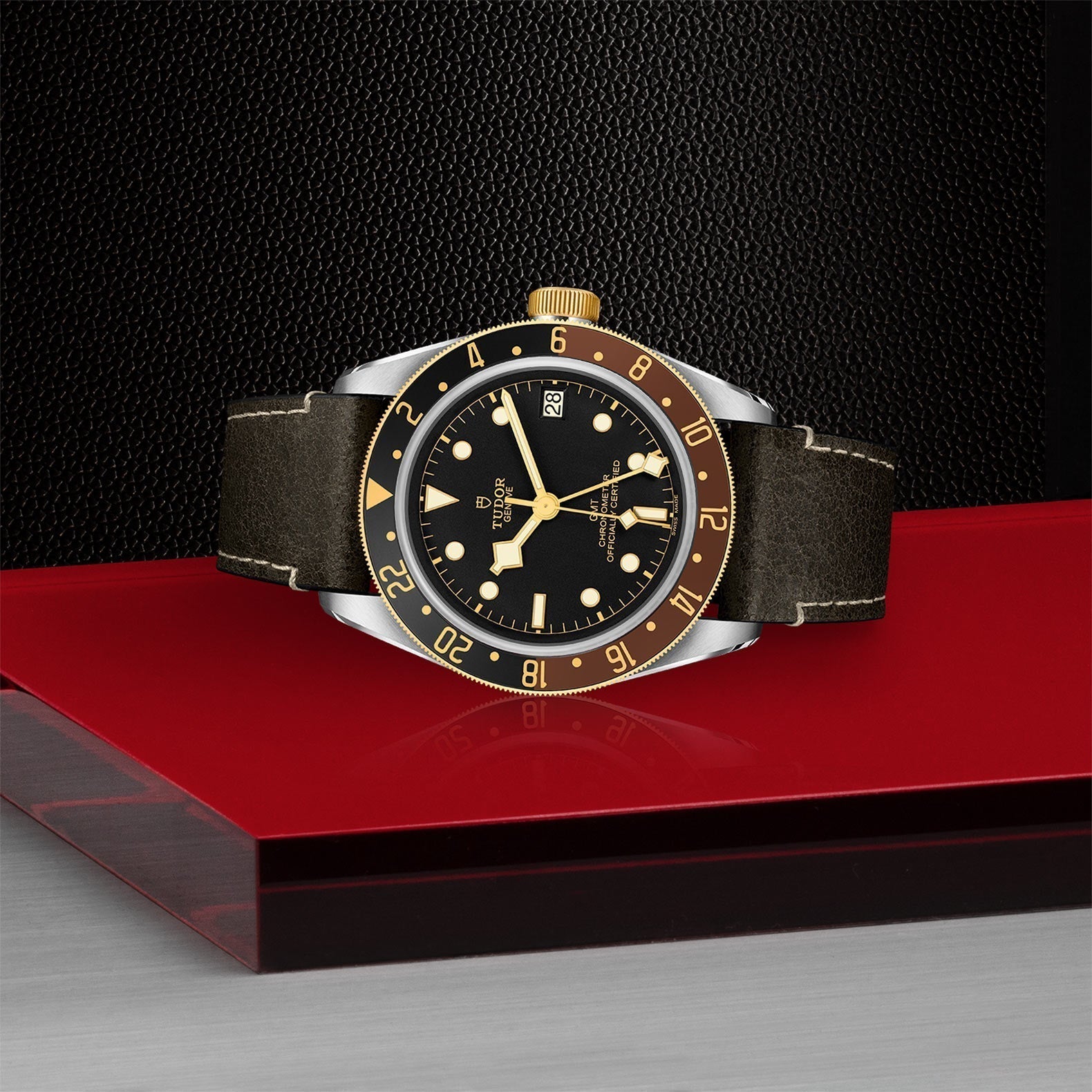 TUDOR Black Bay GMT SandG