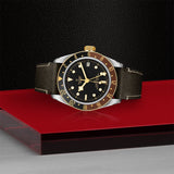 TUDOR Black Bay GMT SandG