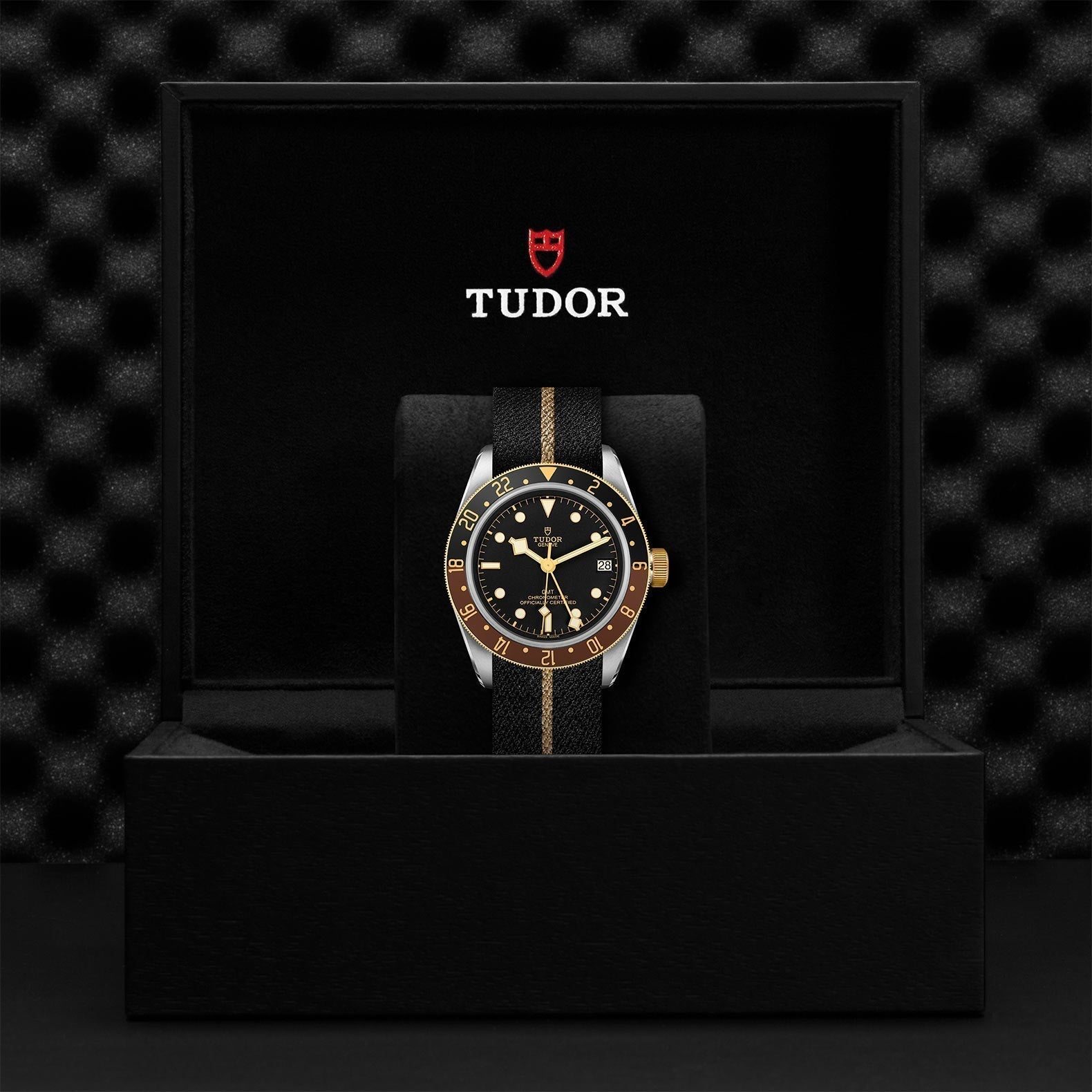 TUDOR Black Bay GMT SandG