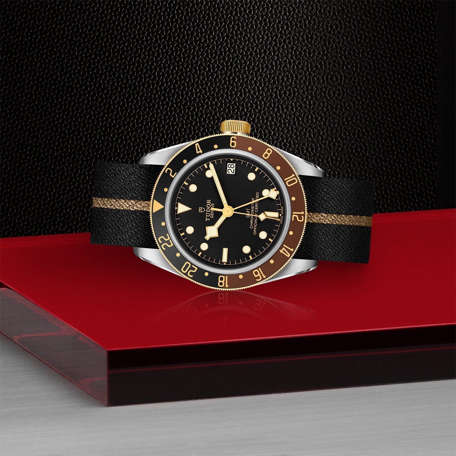 TUDOR Black Bay GMT SandG