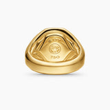 Streamline® Signet Ring 18K Yellow Gold with Pietersite, 18mm