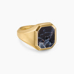 Streamline® Signet Ring 18K Yellow Gold with Pietersite, 18mm