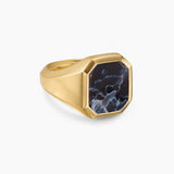 Streamline® Signet Ring 18K Yellow Gold with Pietersite, 18mm