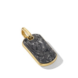 Forged Carbon Tag in 18K Yellow Gold, 34.5mm