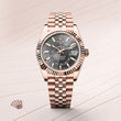 Sky-Dweller - image 2 of 4