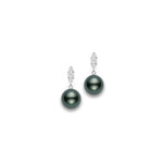 Black South Sea Cultured Pearl Earrings