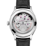 Constellation Observatory 39.4 mm, O‑MEGASTEEL on alligator