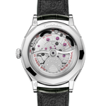 Constellation Observatory 39.4 mm, O‑MEGASTEEL on alligator