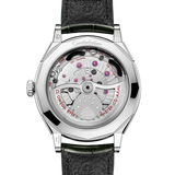 Constellation Observatory 39.4 mm, O‑MEGASTEEL on alligator