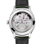 Constellation Observatory 39.4 mm, O‑MEGASTEEL on alligator