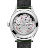 Constellation Observatory 39.4 mm, O‑MEGASTEEL on alligator