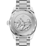 Seamaster Aqua Terra 150M 38 mm, steel on steel