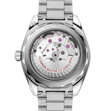 Seamaster Aqua Terra 150M 41 mm, steel on steel