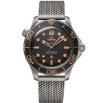 Seamaster Diver 300M 42 mm, titanium on titanium